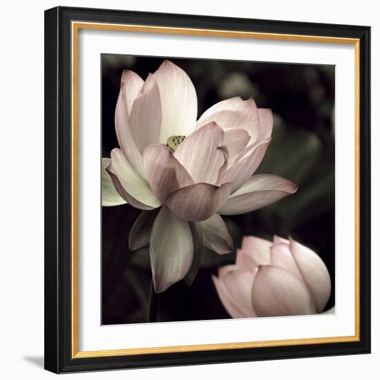 The Lotus II-Andy Neuwirth-Framed Photo