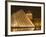 The Louvre at Twilight, Paris, France-Jim Zuckerman-Framed Photographic Print