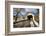 The Loux Covered Bridge in Winter, Pennsylvania-George Oze-Framed Photographic Print