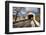 The Loux Covered Bridge in Winter, Pennsylvania-George Oze-Framed Photographic Print