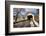 The Loux Covered Bridge in Winter, Pennsylvania-George Oze-Framed Photographic Print