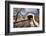 The Loux Covered Bridge in Winter, Pennsylvania-George Oze-Framed Photographic Print