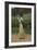 The Love Letter, 19th Century-Edmund Blair Leighton-Framed Giclee Print