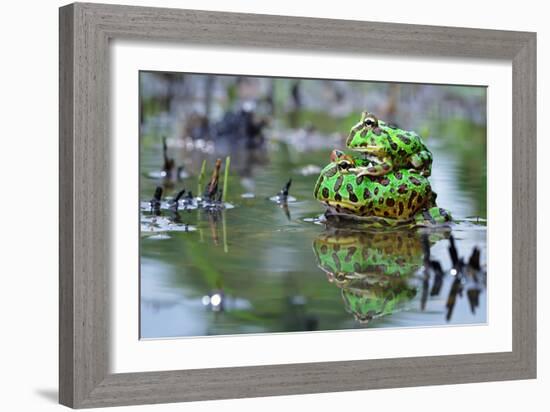 The Love-Shikhei Goh-Framed Photographic Print