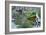 The Love-Shikhei Goh-Framed Photographic Print