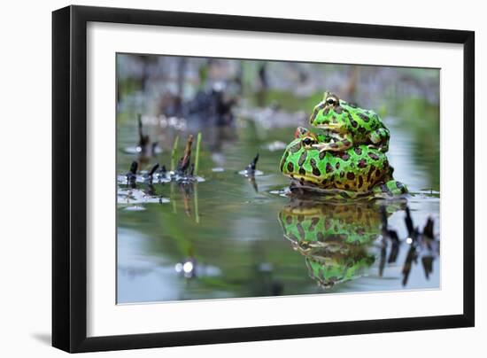 The Love-Shikhei Goh-Framed Photographic Print