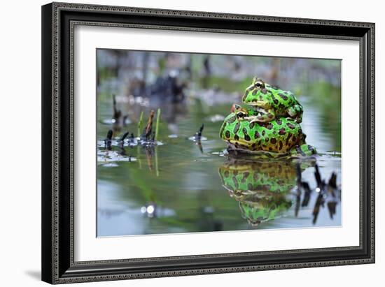 The Love-Shikhei Goh-Framed Photographic Print