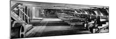 Photographic Print