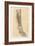 The Lower Limb. Front of the Leg and Dorsum of the Foot-G. H. Ford-Framed Giclee Print