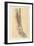 The Lower Limb. Front of the Leg and Dorsum of the Foot-G. H. Ford-Framed Giclee Print