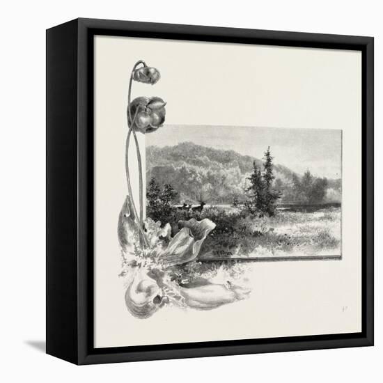 The Lower St. Lawrence, Home of the Pitcher Plant, Canada, Nineteenth Century-null-Framed Premier Image Canvas