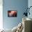 The Lower Wave II-Moises Levy-Framed Premier Image Canvas displayed on a wall