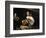 The Lute-Player-Caravaggio-Framed Art Print