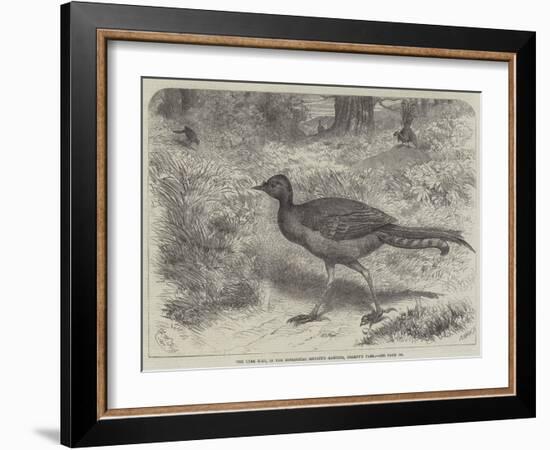 The Lyre Bird, in the Zoological Society's Gardens, Regent's Park-Friedrich Wilhelm Keyl-Framed Giclee Print