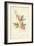 The Lyre Flower-Frederick Edward Hulme-Framed Giclee Print