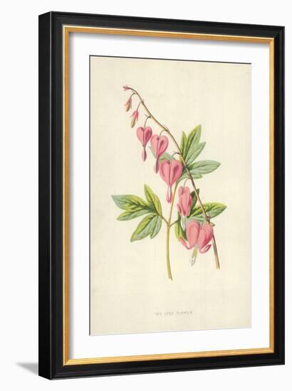 The Lyre Flower-Frederick Edward Hulme-Framed Giclee Print