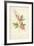 The Lyre Flower-Frederick Edward Hulme-Framed Giclee Print