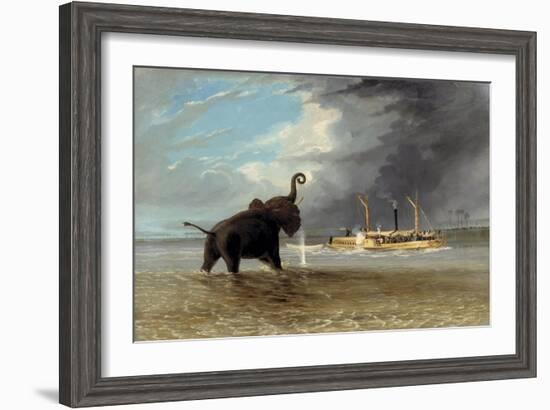 The 'Ma Roberts' and an Elephant in the Shallows, Lower Zambezi, 1859-Thomas Baines-Framed Giclee Print