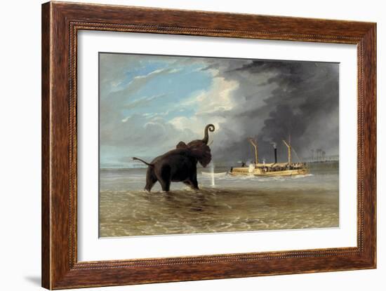 The 'Ma Roberts' and an Elephant in the Shallows, Lower Zambezi, 1859-Thomas Baines-Framed Giclee Print