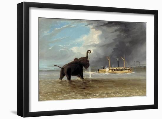 The 'Ma Roberts' and an Elephant in the Shallows, Lower Zambezi, 1859-Thomas Baines-Framed Giclee Print
