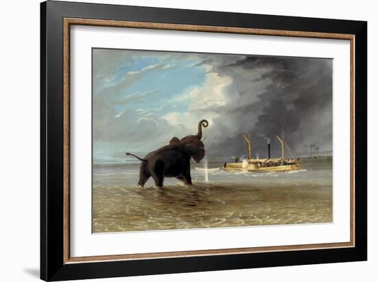 The 'Ma Roberts' and an Elephant in the Shallows, Lower Zambezi, 1859-Thomas Baines-Framed Giclee Print