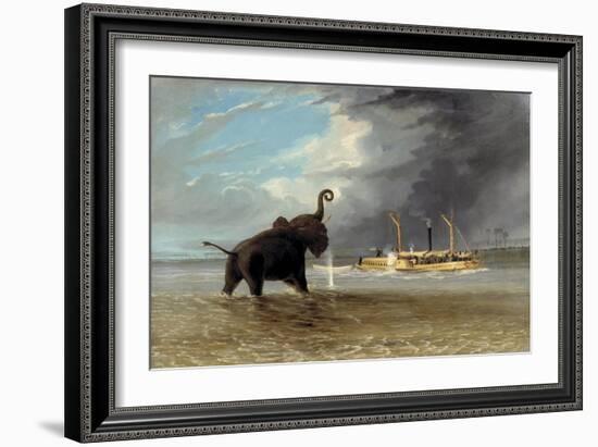 The 'Ma Roberts' and an Elephant in the Shallows, Lower Zambezi, 1859-Thomas Baines-Framed Giclee Print