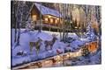 Stretched Canvas Print