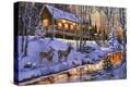Stretched Canvas Print