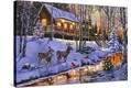 Stretched Canvas Print
