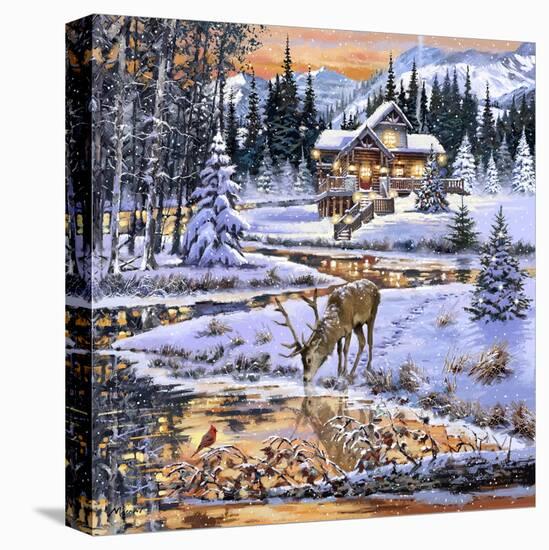 Stretched Canvas Print, , large