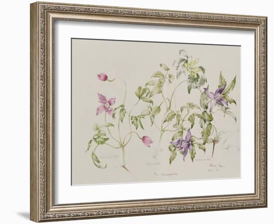 The Macropetalas-Alison Cooper-Framed Giclee Print