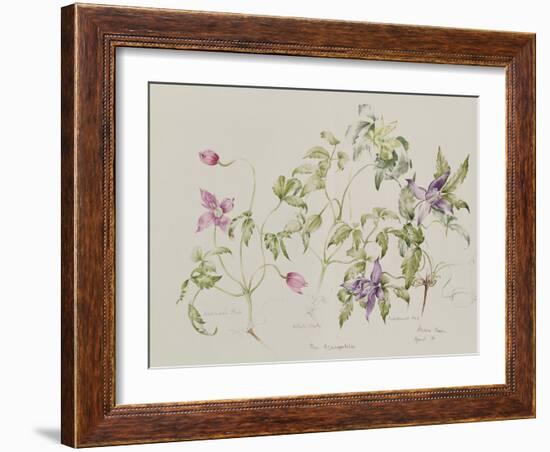 The Macropetalas-Alison Cooper-Framed Giclee Print