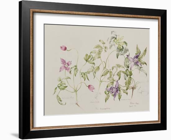 The Macropetalas-Alison Cooper-Framed Giclee Print