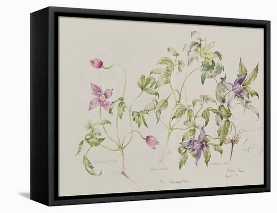 The Macropetalas-Alison Cooper-Framed Premier Image Canvas