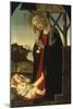 The Madonna Adoring the Christ Child-Sandro Botticelli-Mounted Giclee Print