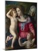 The Madonna and Child with Saint John the Baptist and Saint Elizabeth, C.1540-Agnolo Bronzino-Mounted Giclee Print