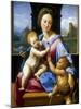 The Madonna and Child with the Infant Baptist' ('The Garvagh Madonna), C1509-1510-Raphael-Mounted Giclee Print