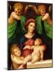 The Madonna and Child with the Infant Saint John the Baptist and Two Angels, C.1512 (Oil on Panel)-Giovanni Battista Rosso Fiorentino-Mounted Giclee Print