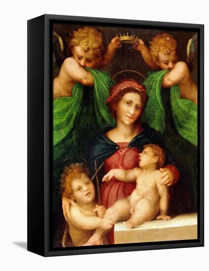 The Madonna and Child with the Infant Saint John the Baptist and Two Angels, C.1512 (Oil on Panel)-Giovanni Battista Rosso Fiorentino-Framed Premier Image Canvas