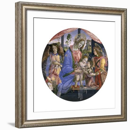 The Madonna and Child with the Infant St. John and Two Angels, Mid-1480s-Filippino Lippi-Framed Giclee Print