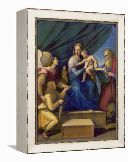 The Madonna of the Fish (The Madonna with the Archangel Raphael, Tobias and St, Jerome), C. 1513-Raffael-Framed Premier Image Canvas