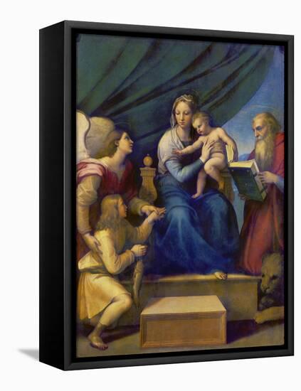 The Madonna of the Fish (The Madonna with the Archangel Raphael, Tobias and St, Jerome), C. 1513-Raffael-Framed Premier Image Canvas