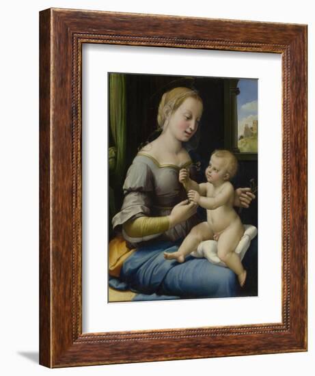 The Madonna of the Pinks (La Madonna Dei Garofan), Ca 1506-1507-Raphael-Framed Giclee Print