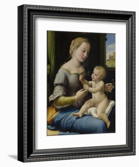 The Madonna of the Pinks (La Madonna Dei Garofan), Ca 1506-1507-Raphael-Framed Giclee Print