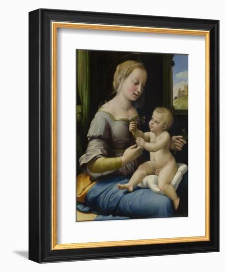 The Madonna of the Pinks (La Madonna Dei Garofan), Ca 1506-1507-Raphael-Framed Giclee Print