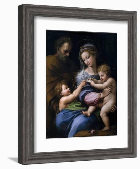 The Madonna of the Rose (Madonna Della Ros), C. 1520-Raphael-Framed Giclee Print