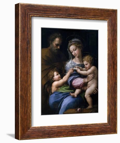 The Madonna of the Rose (Madonna Della Ros), C. 1520-Raphael-Framed Giclee Print