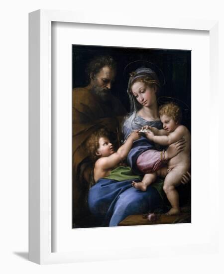 The Madonna of the Rose (Madonna Della Ros), C. 1520-Raphael-Framed Giclee Print