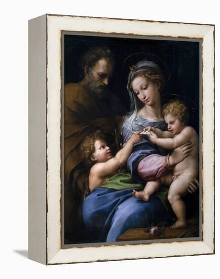 The Madonna of the Rose (Madonna Della Ros), C. 1520-Raphael-Framed Premier Image Canvas