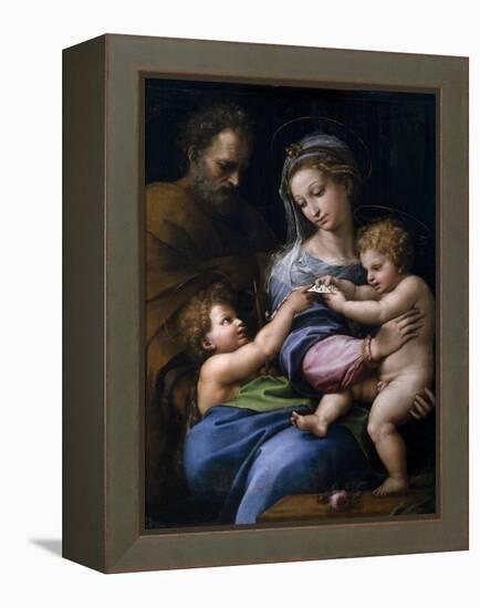 The Madonna of the Rose (Madonna Della Ros), C. 1520-Raphael-Framed Premier Image Canvas